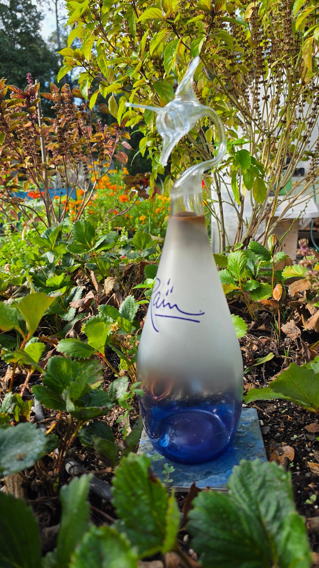 Not All Bottles Are Created Equal: The Science Behind Choosing the Right Glass for Sculpture