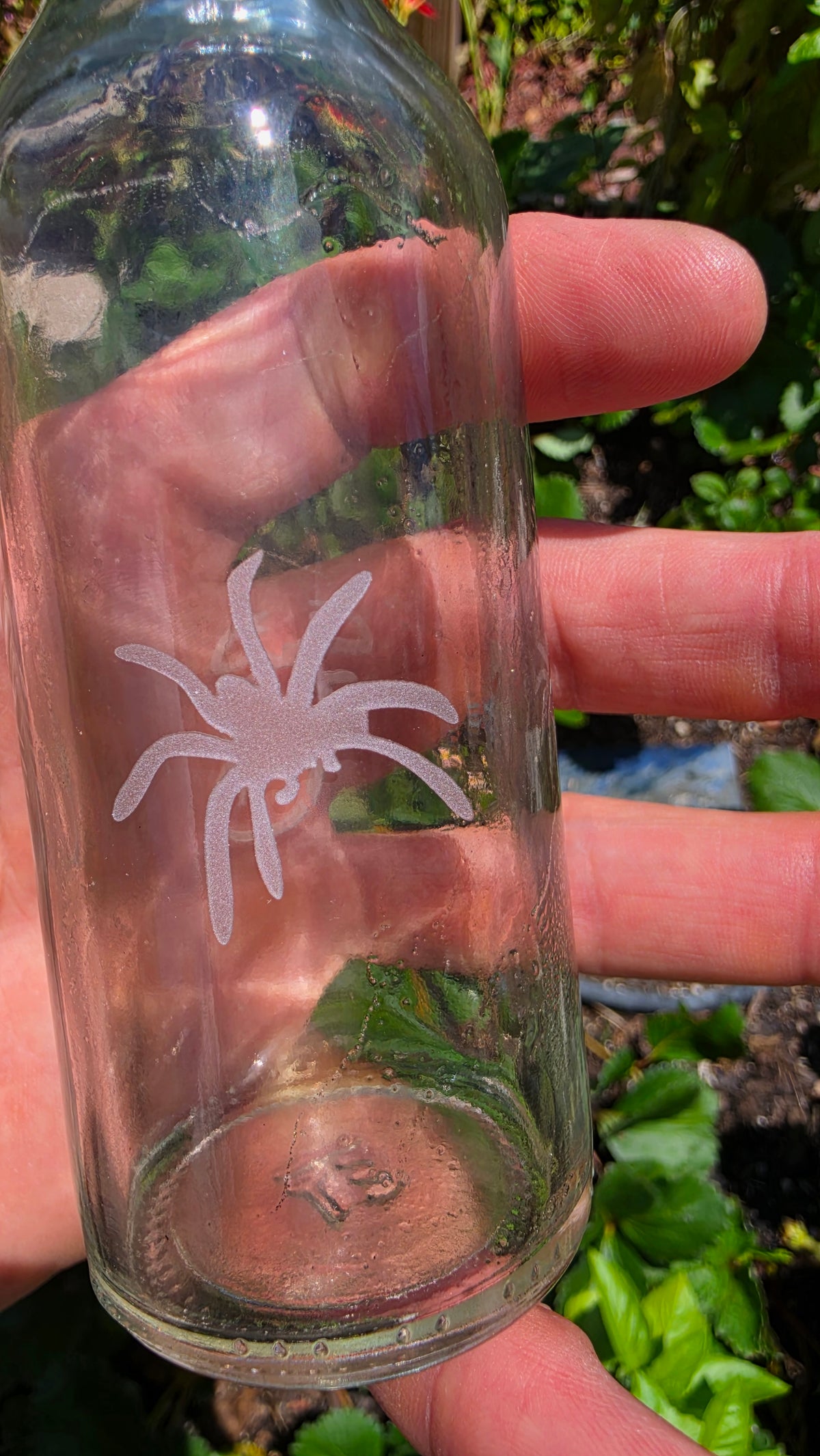 Frosted Etched Glass Bottle Art – Handcrafted Sandblasted Decor