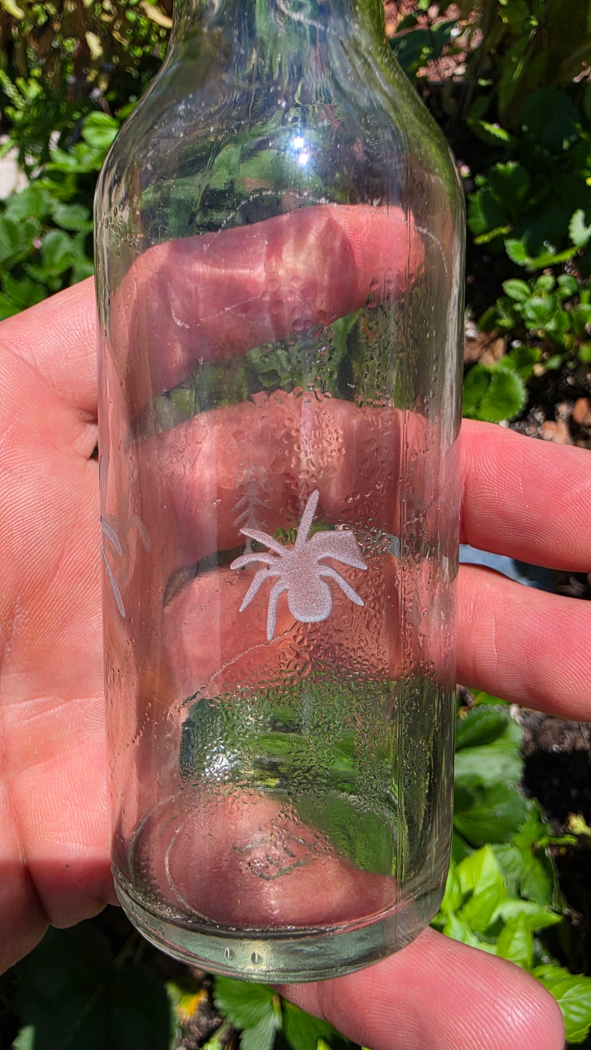 Frosted Etched Glass Bottle Art – Handcrafted Sandblasted Decor