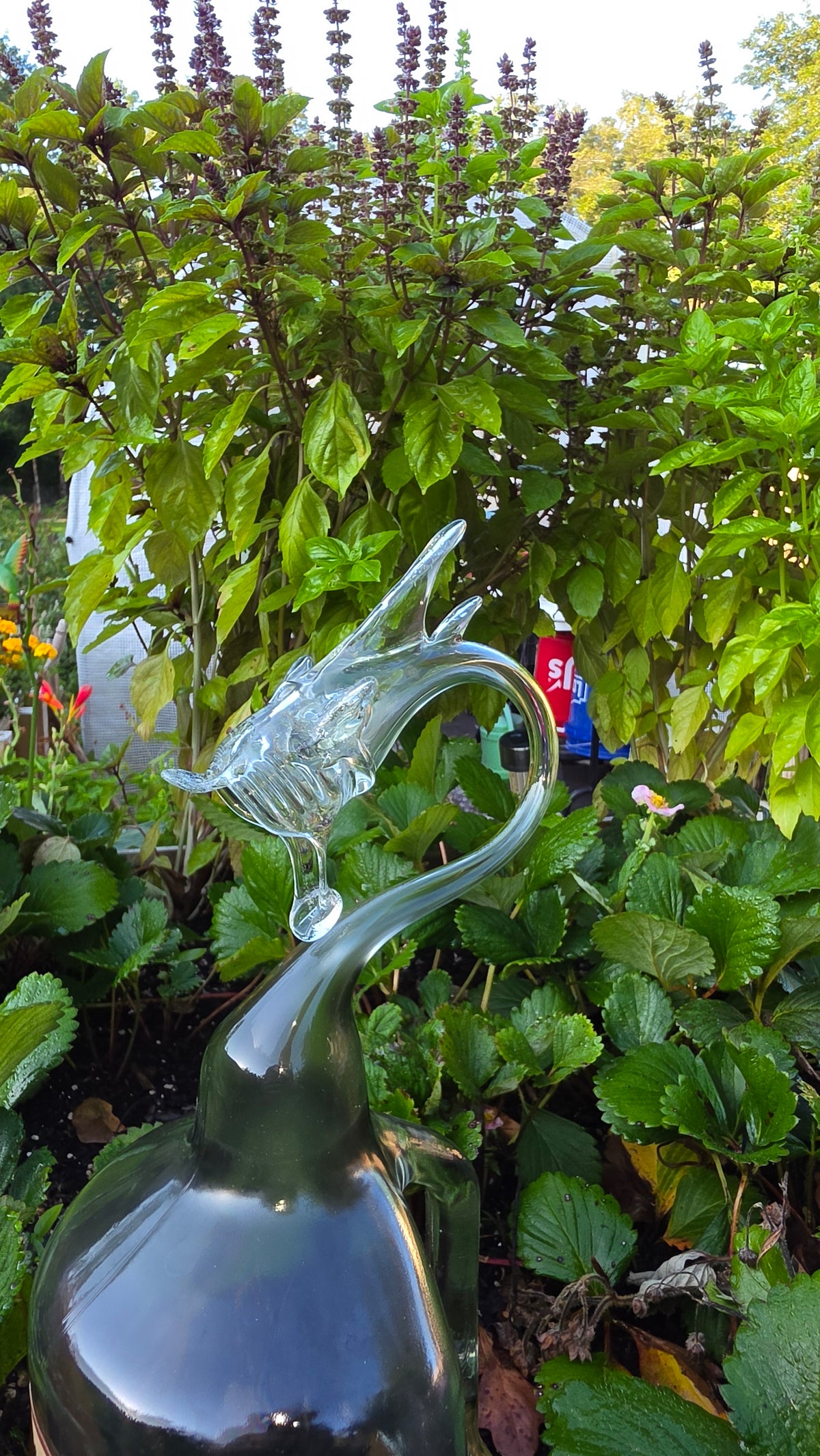 Massive Clear Glass Dragon Bottle Sculpture – Handcrafted Large-Scale Art