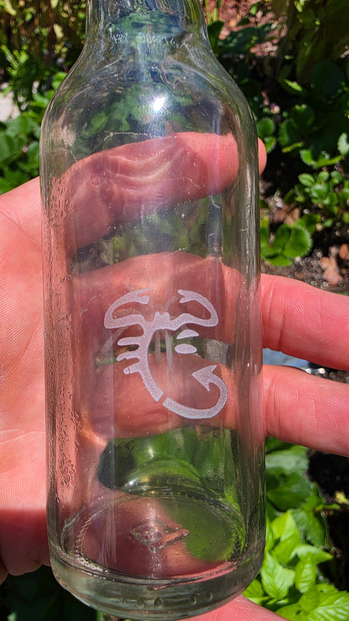 Frosted Etched Glass Bottle Art – Handcrafted Sandblasted Decor
