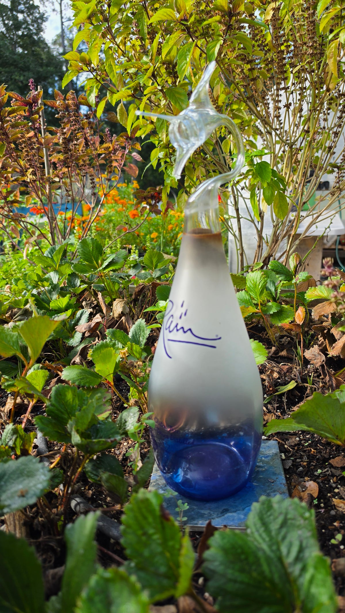 Frosted Cobalt Blue Glass Marlin Bottle Sculpture – Handcrafted Premium Art