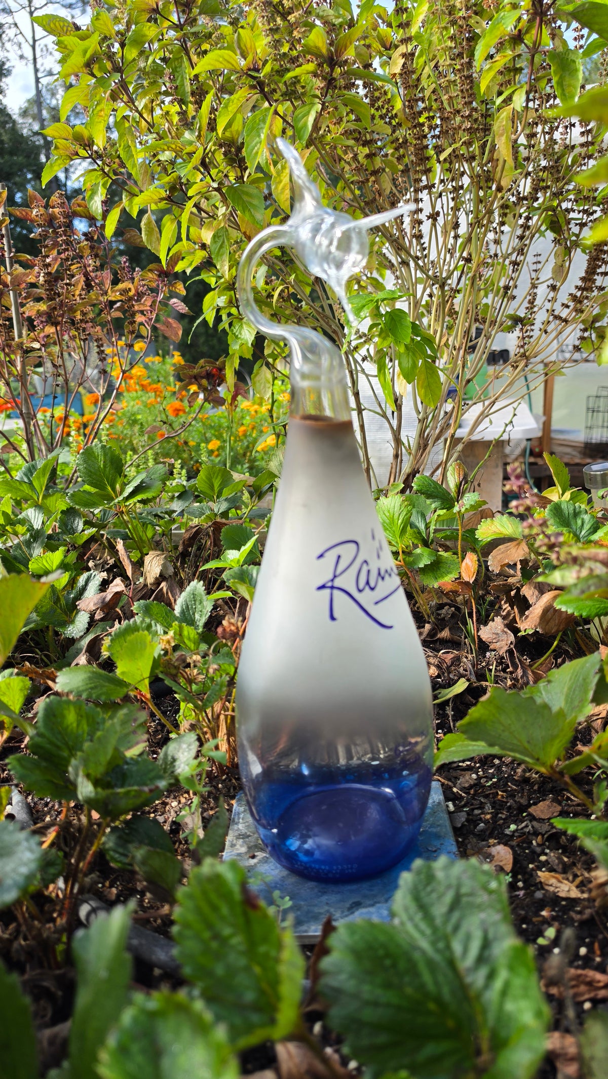Frosted Cobalt Blue Glass Marlin Bottle Sculpture – Handcrafted Premium Art
