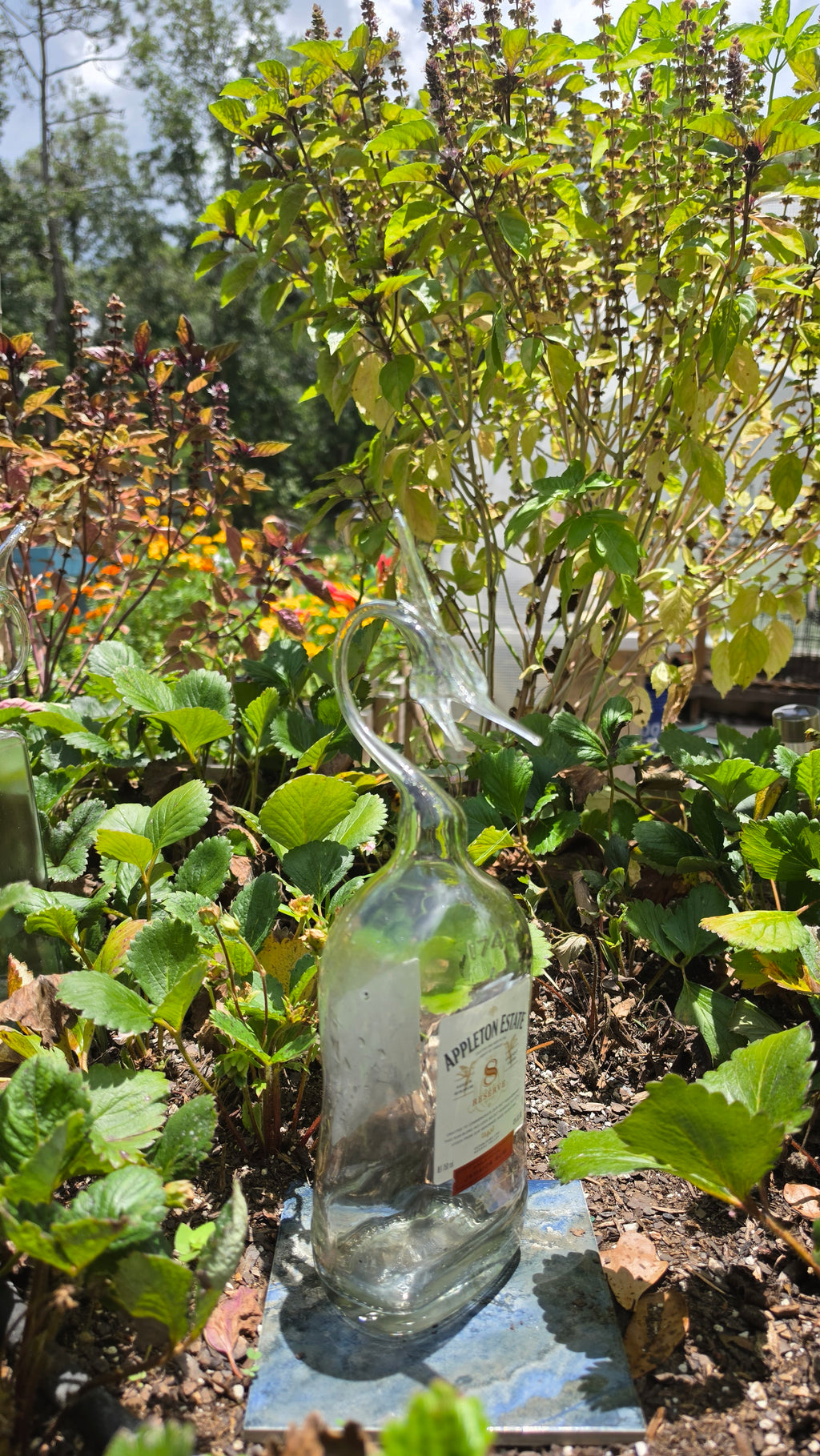 Majestic Glass Marlin Bottle Sculpture – Handcrafted Glass Art