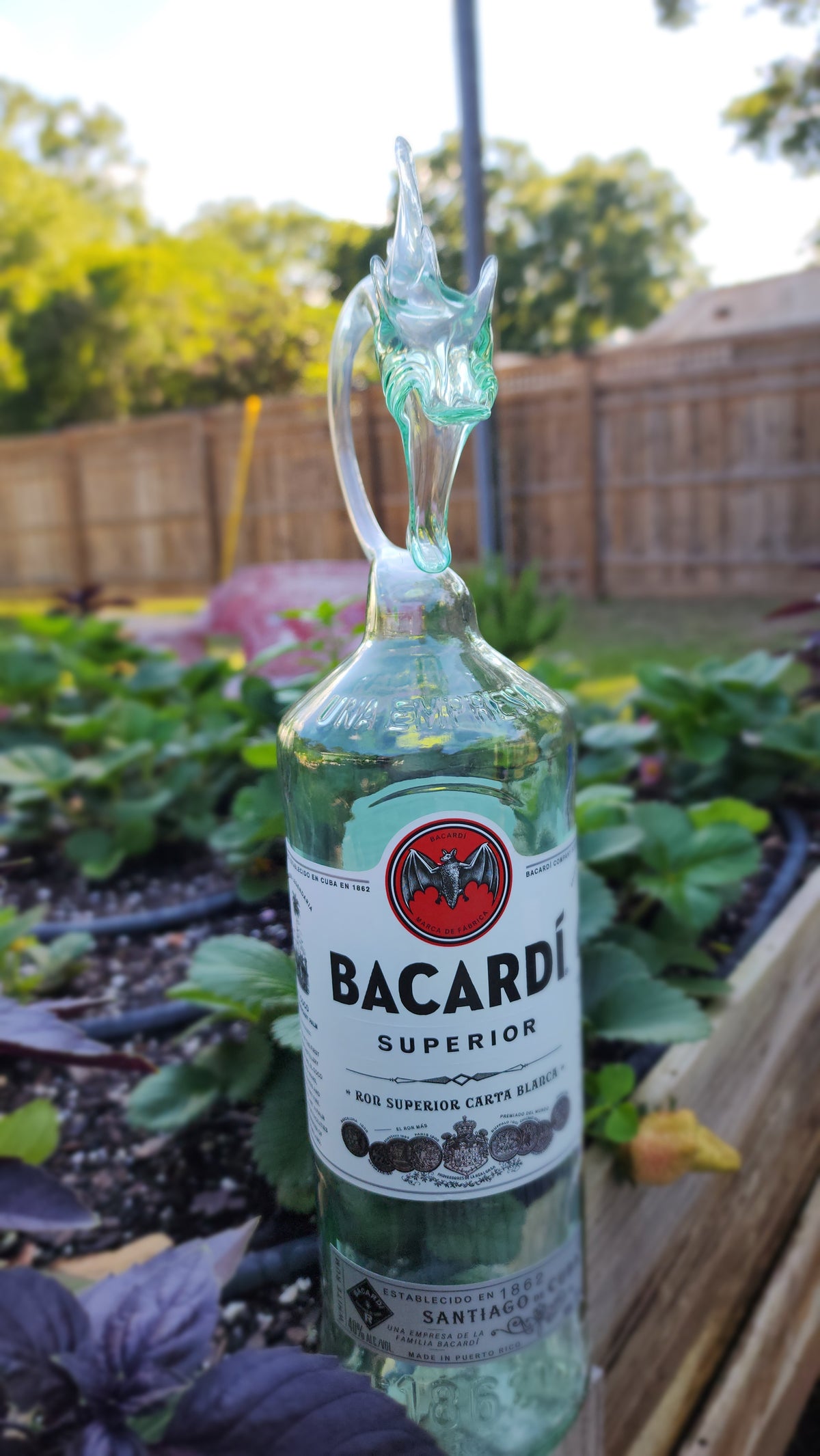 Curved Amber Glass Dragon Bottle Sculpture – Handcrafted Tropical Art