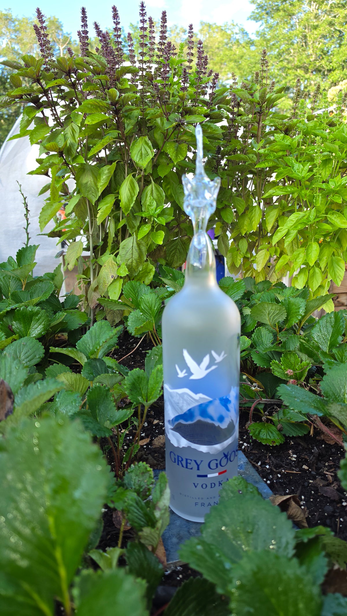 Smooth Clear Glass Dragon Bottle Sculpture – Handcrafted Premium Art