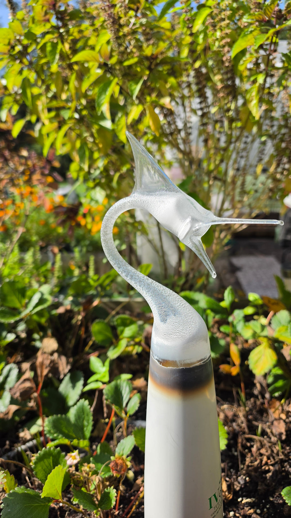 White Illuminated Glass Marlin Bottle Sculpture – LED Base Handcrafted Art